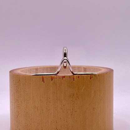 10mm Choice Banded Agate Fly Rod Stripping Guide - Bright Nickel Silver Frame #0120